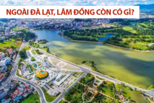 Hướng dẫn gọi xe sân bay Liên Khương tới các điểm du lịch nổi tiếng nhất Lâm Đồng